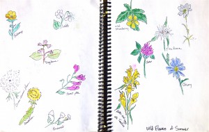 Joyce drawings of flowers.JPEG