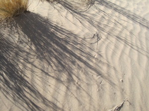 The Kelso Dunes in the Mojave National Preserve. Photos courtesy of the author