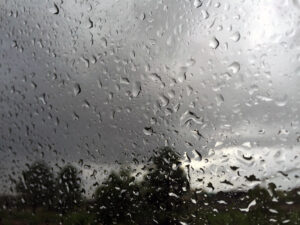 Rain on a window, photo by Michele James