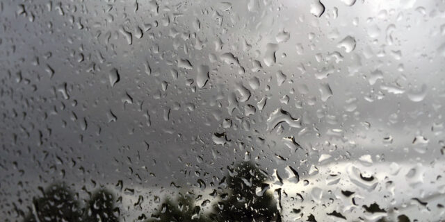Monsoon Dreams: Wake me up when it rains