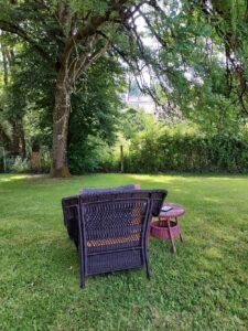 Wicker chair and side table on shady green lawn facing a large tree.