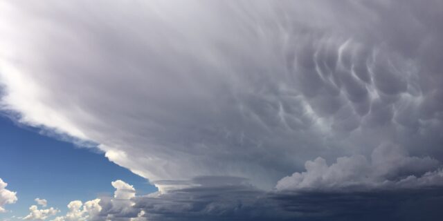 Anatomy of a Goodbye