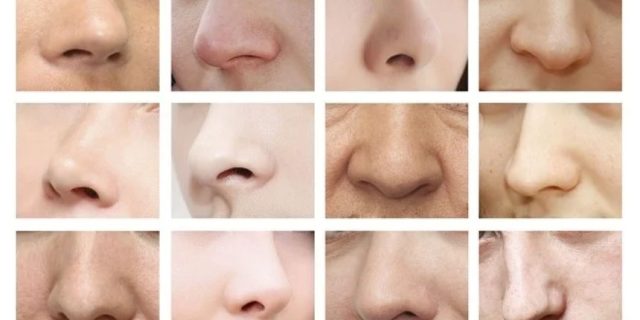 Los Mocos Locos; Let’s talk boogers