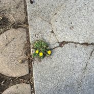 The Peculiarities of Our Time