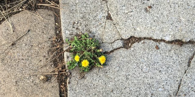 The Peculiarities of Our Time