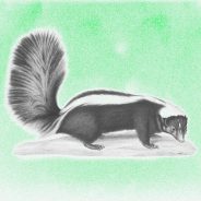  Mephitis Mephitis and the Lessons of Liberation