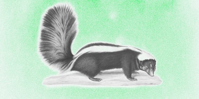  Mephitis Mephitis and the Lessons of Liberation