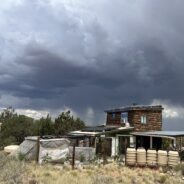 The Joy of Petrichor