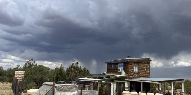 The Joy of Petrichor