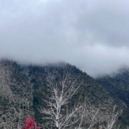 On Earth & Being Down to It